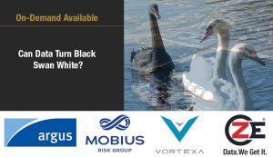 Recording: Can data turn black swan white? How to anticipate and be more reactive with your data
